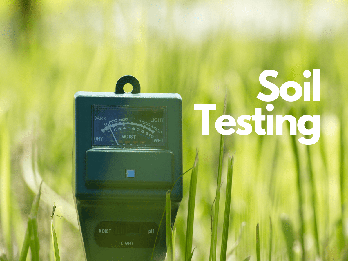 Unlock the Secrets of Soil Health: Essential Testing Tips for Every Gardener