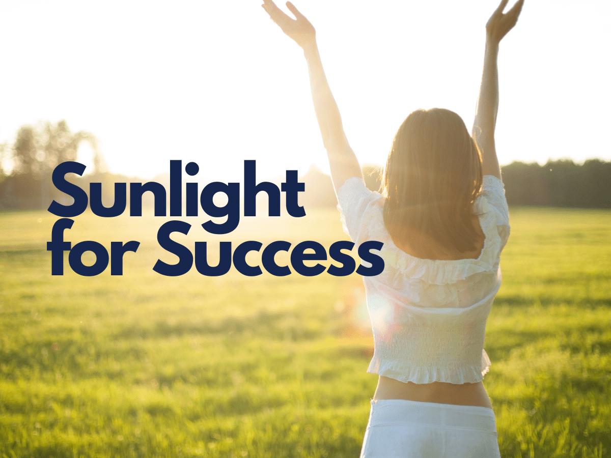 The Ultimate Guide to Sunlight: Boost Plant Health & Growth with Expert Tips