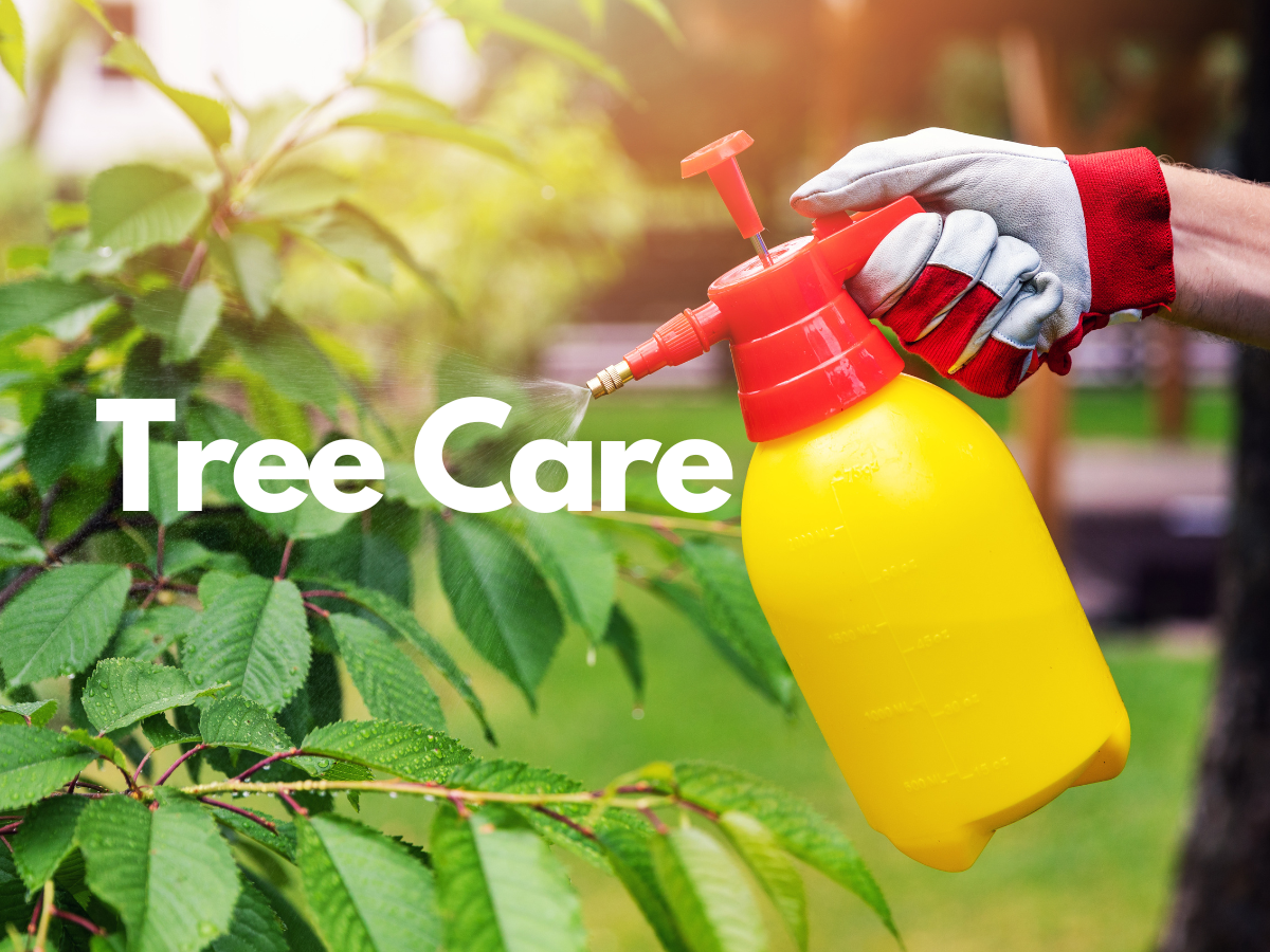 Unlock Your Garden’s Full Potential: Harness the Power of Horticultural Oils and Copper Fungicides