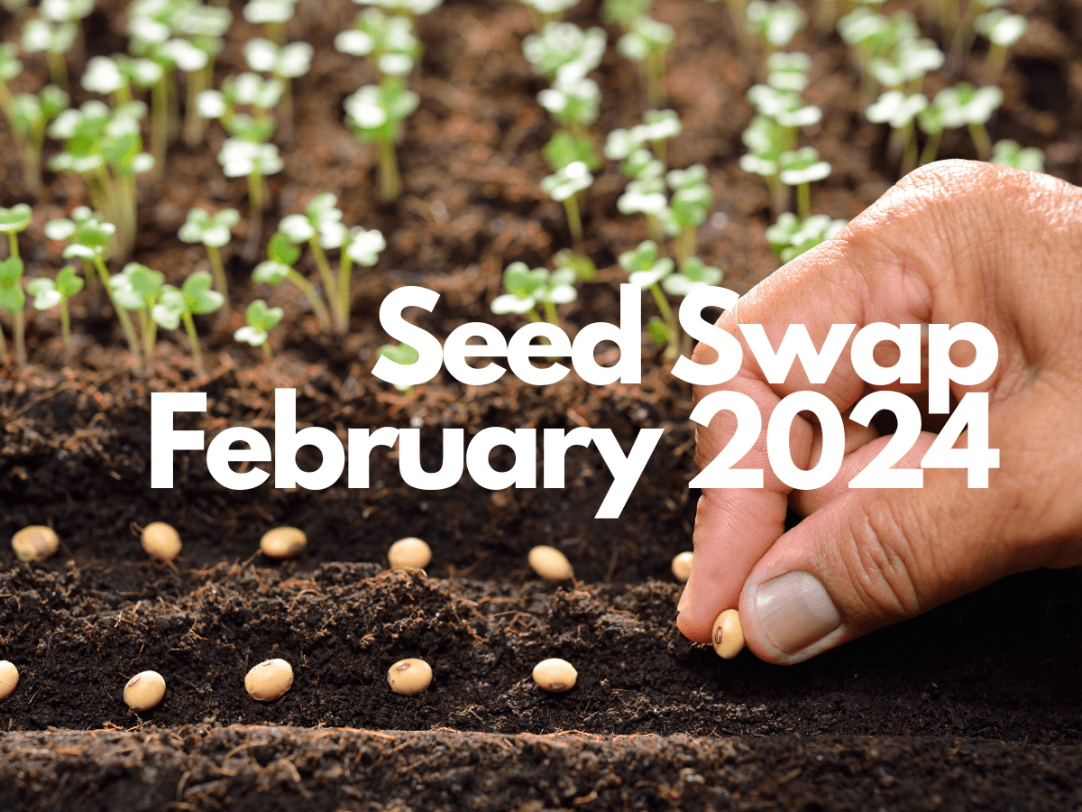 Unlock Your Garden’s Potential at the February 2024 Seed Swapping Event!
