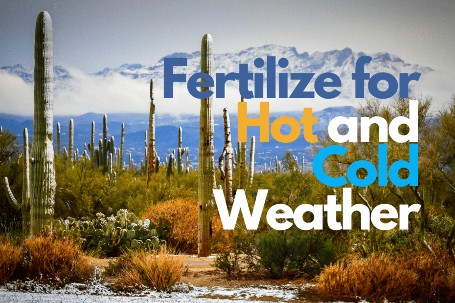 Fertilize for Desert Conditions