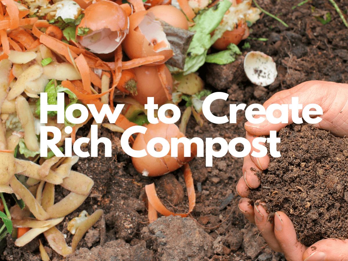 Ultimate Guide to Transforming Kitchen Scraps into Nutrient-Rich Compost at Home