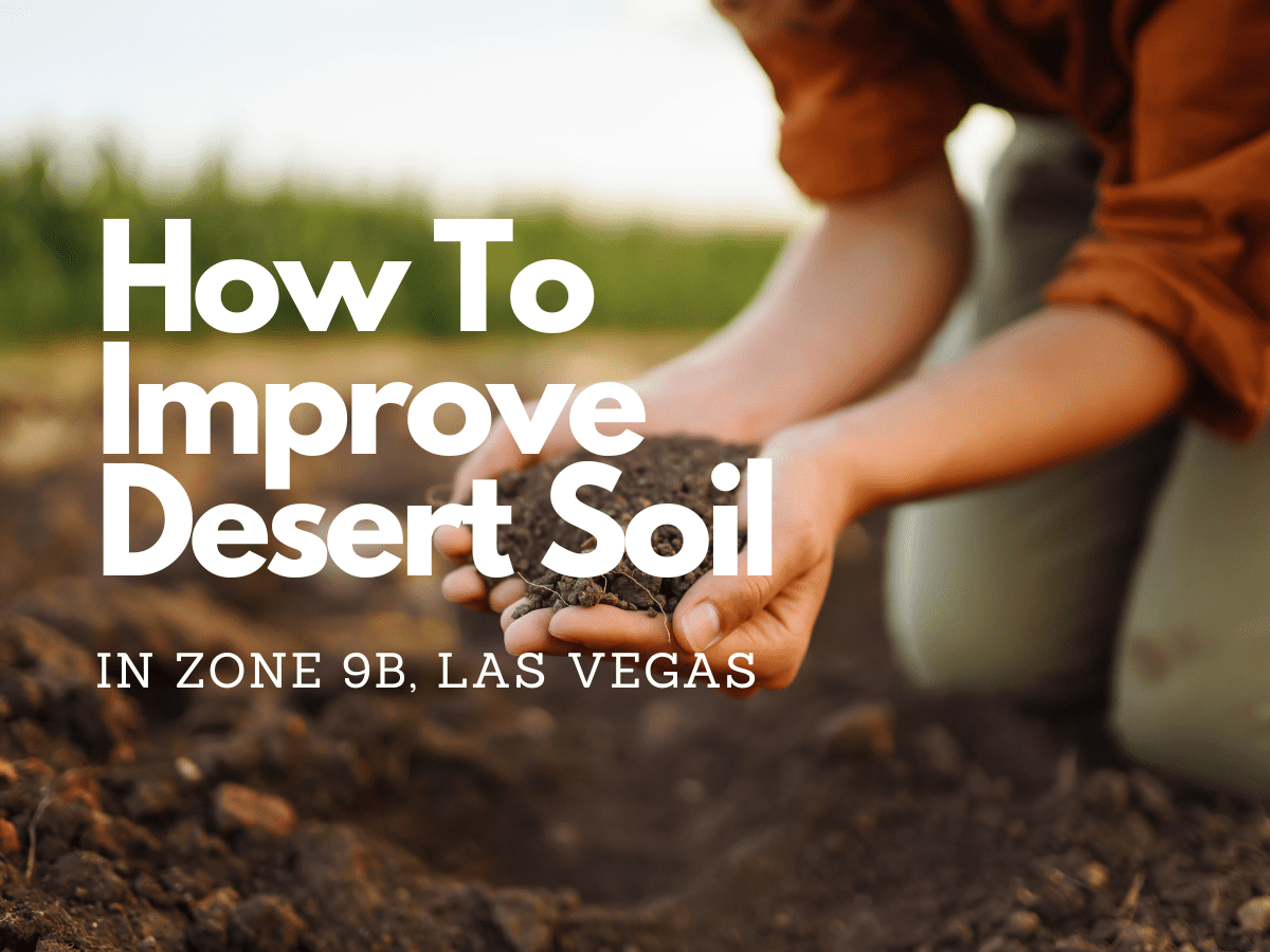 Master Las Vegas Gardening: Top Soil Enhancement Tips for Lush Plants