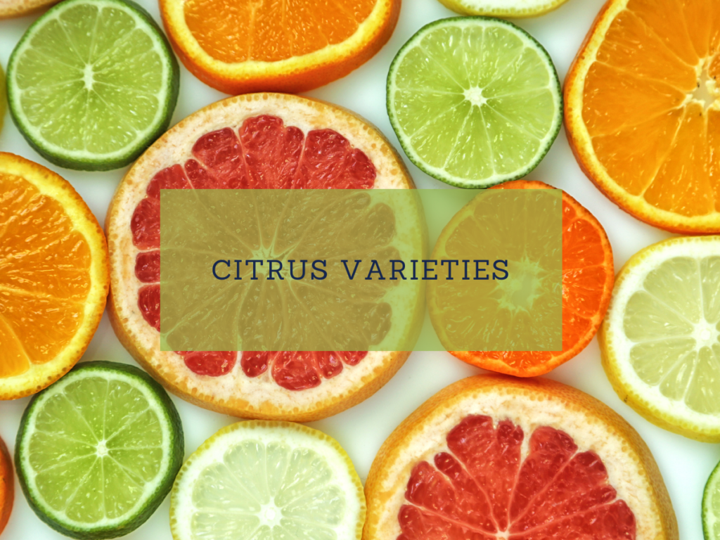 How to Grow Citrus in Las Vegas (Zone 9b): A Desert Gardener’s Guide ...